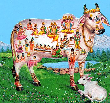 cow dung business plan pdf